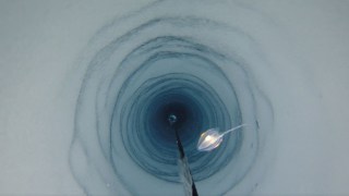 Descubren criaturas extrañas en la Antártida… a más de 1.200 metros de profundidad. Descubren criaturas extrañas en la Antártida