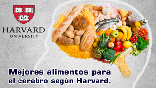 Los 7 mejores alimentos para el cerebro según Harvard. Los 7 mejores alimentos para el cerebro según Harvard.