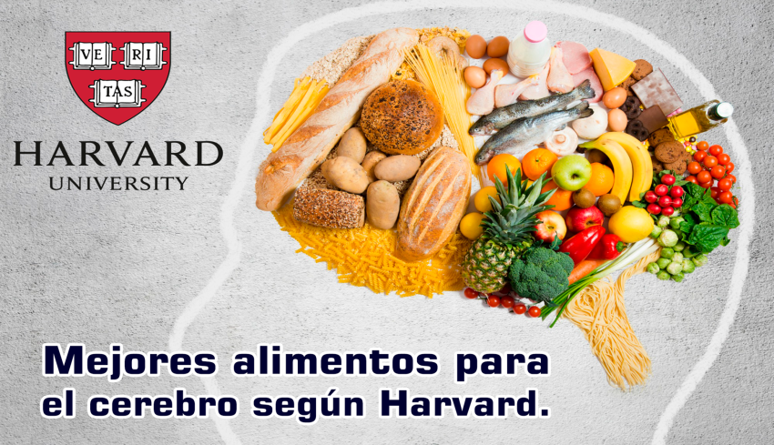 Los 7 mejores alimentos para el cerebro según Harvard.