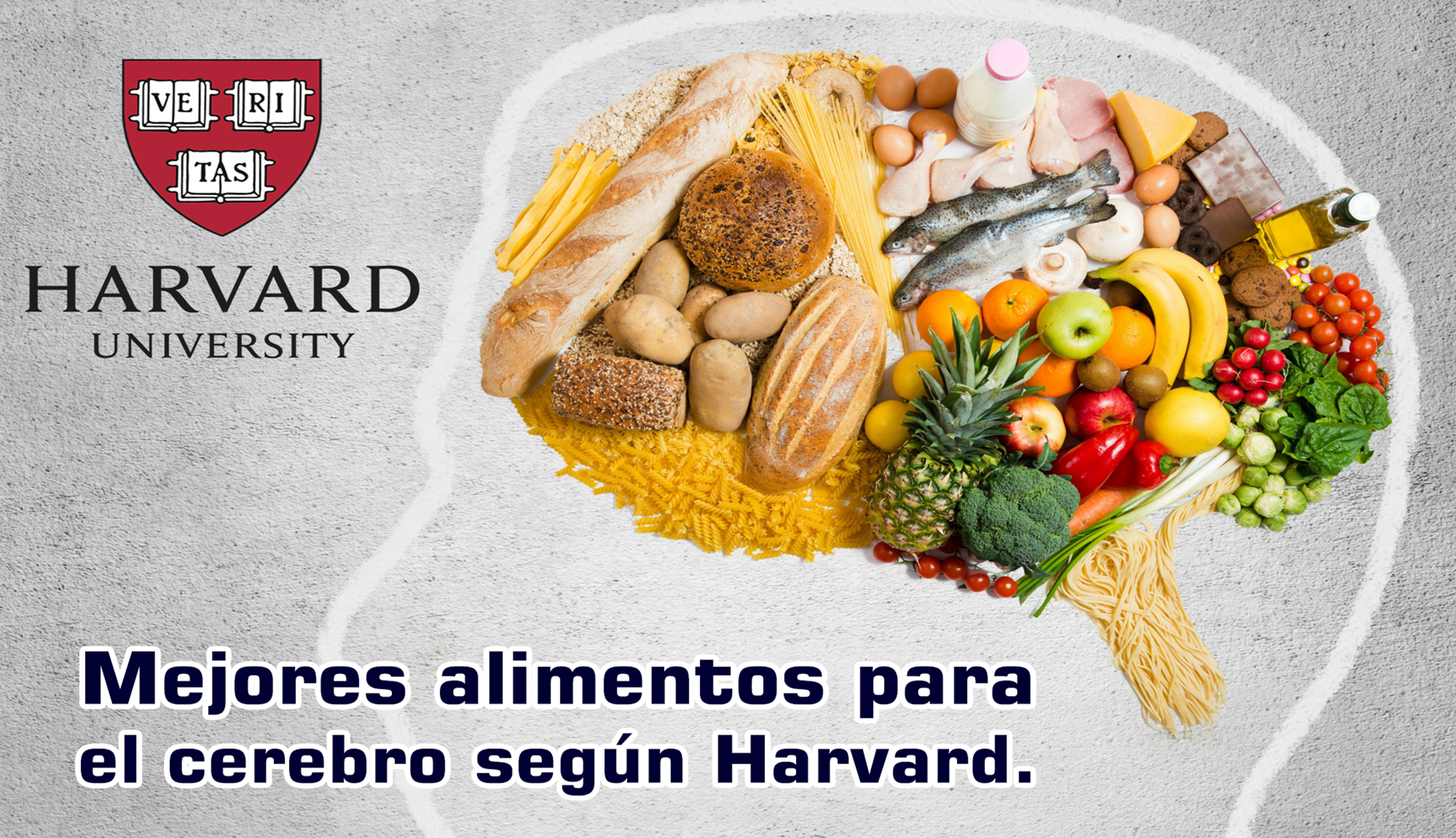 Los 7 mejores alimentos para el cerebro según Harvard. Los 7 mejores alimentos para el cerebro según Harvard.