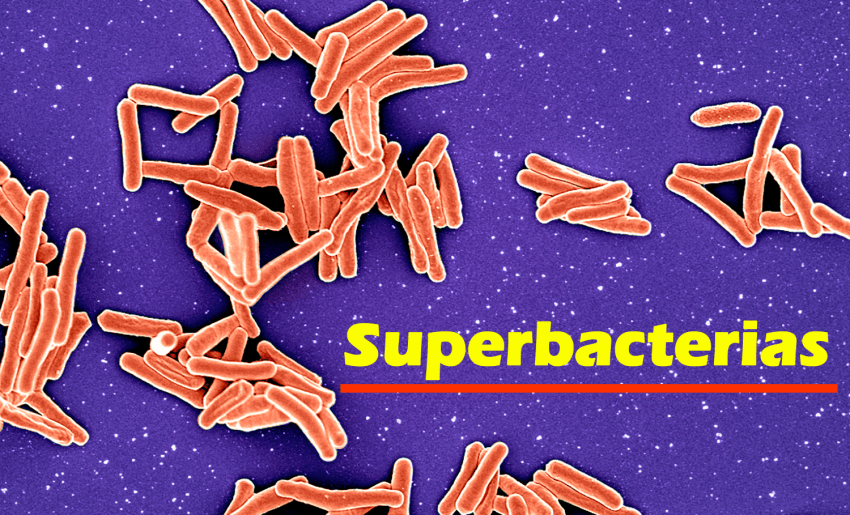 Qué son las superbacterias y por qué son peligrosas