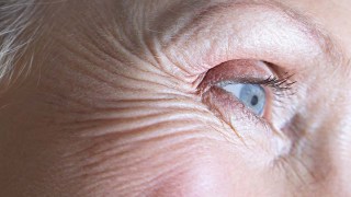 Descubren cómo se forman las arrugas en la piel, el cerebro y órganos internos. Descubren cómo se forman las arrugas en la piel, el cerebro y órganos internos.