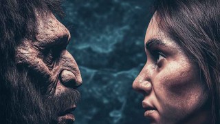Hubo intercambio genético entre neandertales y humanos durante 7.000 años, según estudios recientes.
