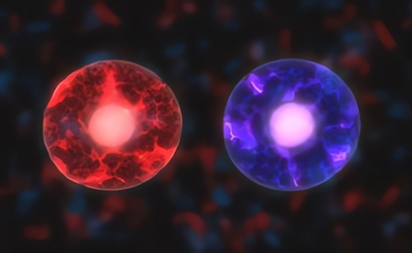 Los científicos descubren cómo convertir las células cancerosas en células sanas.