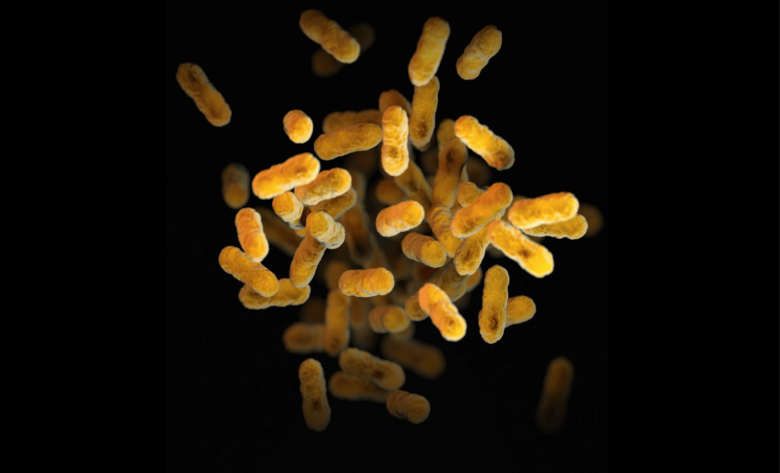 Descubren miles de especies de microbios desconocidos en la zona más ...