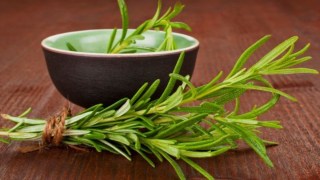 Esta planta medicinal podría ser la clave para fortalecer la memoria, reducir el estrés y prevenir el deterioro cognitivo. Esta planta medicinal podría ser la clave para fortalecer la memoria, reducir el estrés y prevenir el deterioro cognitivo.