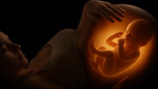 ¿Con cuánta fuerza patea un bebé en el útero? La ciencia ya tiene la respuesta. Con cuánta fuerza patea un bebé en el útero
