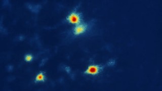 Descubren las neuronas que controlan la ansiedad y la soledad desde lo más profundo del cerebro. Descubren las neuronas que controlan la ansiedad y la soledad desde lo más profundo del cerebro.