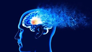 Dos medicamentos aprobados por la FDA logran revertir el Alzheimer… en estudios preclínicos. dos medicamentos ya aprobados logran revertir el Alzheimer