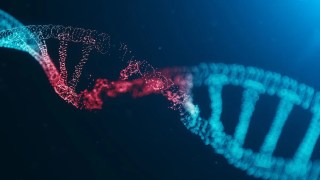 ¿Engordas fácilmente? La respuesta podría estar en tu ADN, que determina cómo almacenas la grasa. ¿Engordas fácilmente? La respuesta podría estar en tu ADN, que determina cómo almacenas la grasa.