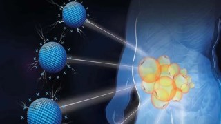 Científicos crean una inyección que podría ayudar a reducir la grasa abdominal sin dañar el cuerpo. crean una inyección que podría ayudar a reducir la grasa abdominal