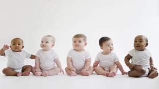 Científicos de Harvard identifican factores que podrían predecir si tu próximo hijo será niño o niña. factores que podrían predecir si tu próximo hijo será niño o niña.