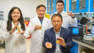 Científicos crean un protector solar natural hecho con polen de camelia, sin aditivos químicos. Científicos crean un protector solar natural hecho con polen de camelia, sin aditivos químicos.