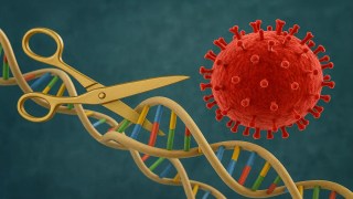 Por primera vez, logran eliminar el VIH en células humanas in vitro usando CRISPR-Cas. Por primera vez, logran eliminar el VIH en células humanas in vitro usando CRISPR-Cas.