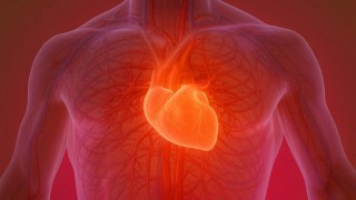 Un estudio global identifica el mejor medicamento para prevenir ataques cardíacos y derrames cerebrales. el mejor medicamento para prevenir ataques cardíacos y derrames cerebrales.