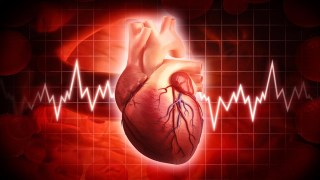 La ciencia revela la edad en la que el corazón empieza a deteriorarse… y es mucho antes de lo que imaginas. La ciencia revela la edad en la que el corazón empieza a deteriorarse