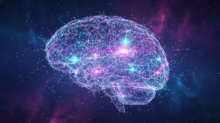 Un estudio revela siete hábitos saludables que pueden rejuvenecer tu cerebro. Un estudio revela siete hábitos saludables que pueden rejuvenecer tu cerebro.