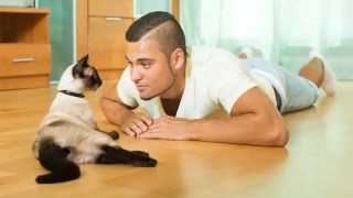 Los gatos maúllan más a los hombres: el sorprendente motivo detrás de esta conducta felina. Los gatos maúllan más a los hombres