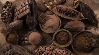 La ciencia descubre un compuesto inesperado en el cacao que podría retrasar el envejecimiento biológico. La ciencia descubre un compuesto inesperado en el cacao que podría retrasar el envejecimiento biológico.