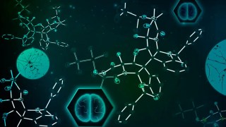 Un compuesto derivado de hongos logra frenar el cáncer cerebral más agresivo en estudios preclínicos. Un compuesto derivado de hongos logra frenar el cáncer cerebral más agresivo en estudios preclínicos.
