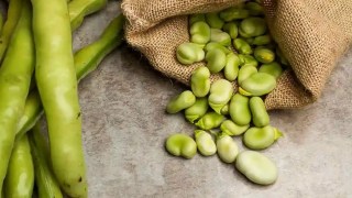 Científicos descubren L-DOPA natural en un alimento común, clave en el tratamiento del Parkinson. descubren L-DOPA natural en un alimento común, clave en el tratamiento del Parkinson.