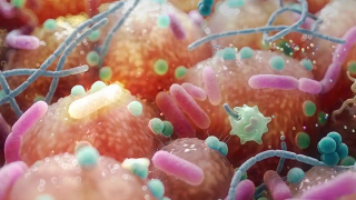 La relación entre el Parkinson y la microbiota intestinal sugiere un tratamiento simple e inesperado. La relación entre el Parkinson y la microbiota intestinal sugiere un tratamiento simple e inesperado.