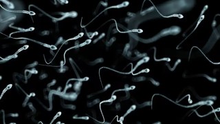 Un estudio revela que la masturbación y la eyaculación frecuente pueden mejorar la calidad del esperma. Un estudio revela que la masturbación y la eyaculación frecuente pueden mejorar la calidad del esperma.