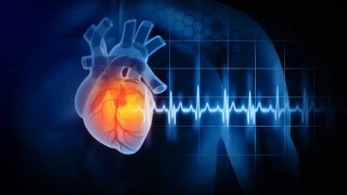 Un estudio revela los hábitos de sueño que mejoran la salud del corazón. Un estudio revela los hábitos de sueño que mejoran la salud del corazón.