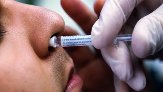 Científicos crean una vacuna nasal capaz de proteger contra virus, bacterias… e incluso alergias respiratorias. Científicos crean una vacuna nasal capaz de proteger contra virus, bacterias