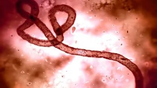 ¿Qué tan peligrosa es la nueva variante del ébola que puso en alerta máxima a la OMS? Qué tan peligrosa es la nueva variante del ébola