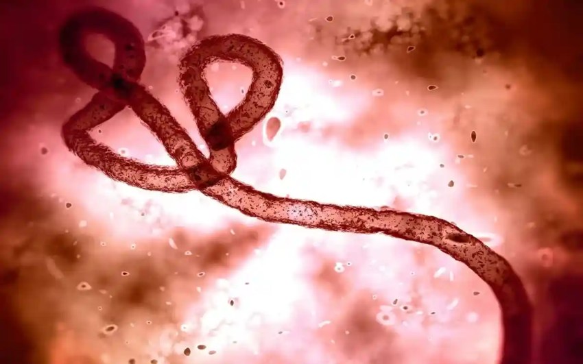 Qué tan peligrosa es la nueva variante del ébola