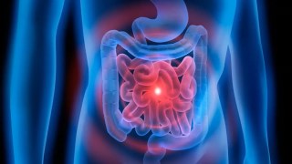 El estreñimiento podría ser algo más que un problema digestivo, descubren alteraciones más profundas en el intestino. El estreñimiento podría ser algo más que un problema digestivo
