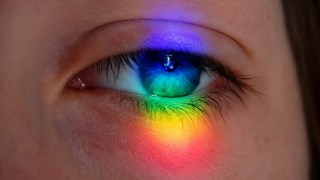 ¿Por qué algunas personas pueden ver más colores? Una condición genética rara podría estar transformando su visión. Por qué algunas personas pueden ver más colores