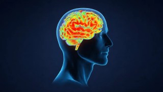 Un estudio sugiere que una vitamina común podría reducir la acumulación de proteínas tóxicas asociadas con el Alzheimer. Un estudio sugiere que una vitamina común podría reducir la acumulación de proteínas tóxicas asociadas con el Alzheimer.