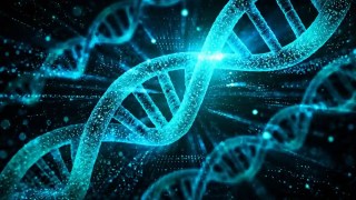 Descubren una alteración genética que podría estar vinculada al inicio del cáncer en tejidos masculinos aparentemente sanos. Descubren una alteración genética que podría estar vinculada al inicio del cáncer