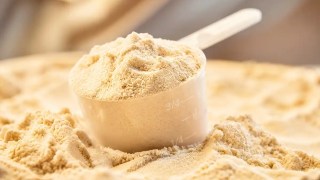 El suplemento que muchos toman en el gym podría ayudar a mantener la fuerza y mejorar la memoria con la edad. El suplemento que muchos toman en el gym podría ayudar a mantener la fuerza y mejorar la memoria con la edad.