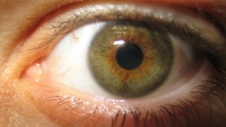 Tus ojos podrían revelar qué tan rápido estás envejeciendo, incluso antes de que lo notes. Tus ojos podrían revelar qué tan rápido estás envejeciendo, incluso antes de que lo notes.