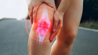 Científicos descubren un nuevo factor biológico que podría estar acelerando el avance de la osteoartritis. Científicos descubren un nuevo factor biológico que podría estar acelerando el avance de la osteoartritis.