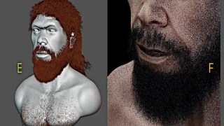 Científicos reconstruyen un rostro de Homo sapiens de hace 315 mil años y su parecido con nosotros es sorprendente. Científicos reconstruyen un rostro de Homo sapiens de hace 315 mil años y su parecido con nosotros es sorprendente.