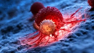 Un estudio revela cinco infecciones que causan cáncer en más de dos millones de personas al año. Un estudio revela cinco infecciones que causan cáncer en más de dos millones de personas al año.